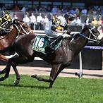 summoned stakes bet on